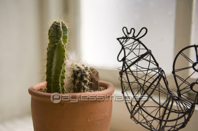 ���դ��֤��줿���ܥƥ����ʪ