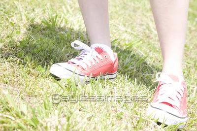 ���ˡ�������Ϥ���������­��