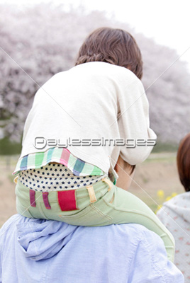 ����ե꡼���᡼��