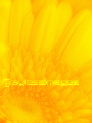 �����������٥�