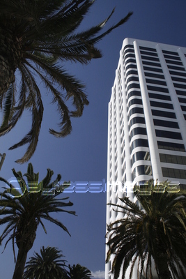 ���󥿥�˥��Υӥ�