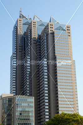 ���ɥѡ������