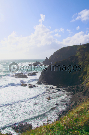 �̳�ƻ���߾�̨