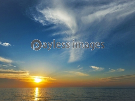 ��ʿ����ͼ��