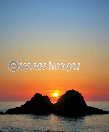 �Ƥ��󸫥����ʻ���ԡ�