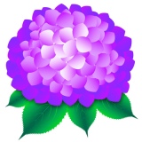 �������� ��