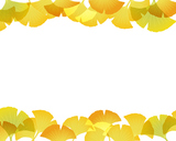 ginkgo background
