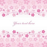 �����ե졼��