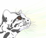 �ͥ��ʥޡ������ʥ��꡼���A4