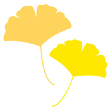 �����祦���դä�